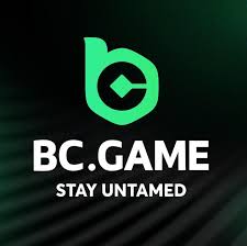 Exploring BC.Game A New Era of Online Gaming in Cameroon